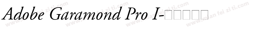 Adobe Garamond Pro I字体转换